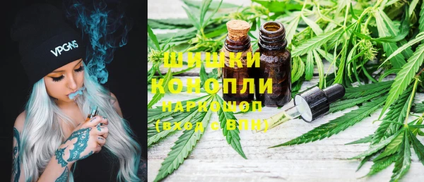PSILOCYBIN Мегион
