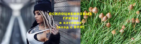 PSILOCYBIN Мегион
