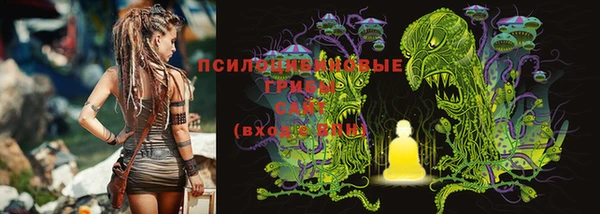 PSILOCYBIN Мегион